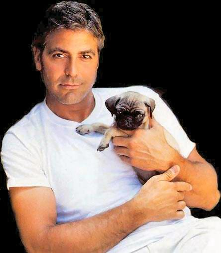 George Clooney 31 Loading...